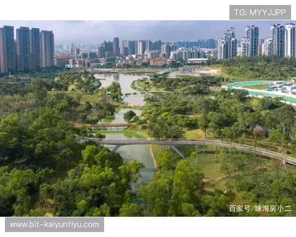 开云官方网站入口使用教程，详细讲解注册、登录及常见问题解决方案